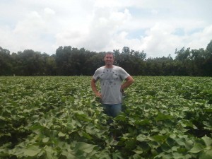 This cotton appears to have high yield potential if good conditions continue through harvest