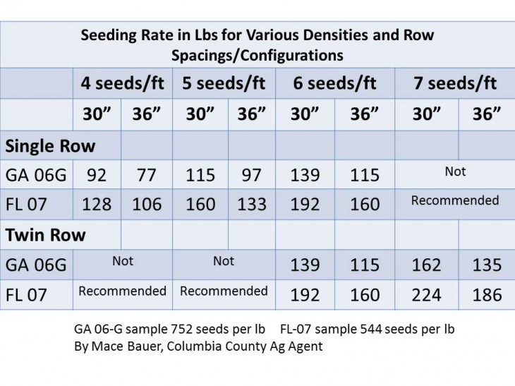 Peanut Seed Size and Seeding Rates – Florida Crops